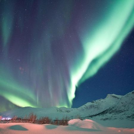 Kaikanten Kro Og Rorbu Sennesvik Esterno foto